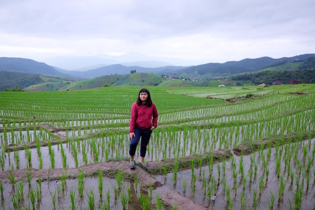 La mujer asiática es libre y feliz en los campos de arroz en terrazas en las montañas de Tailandia