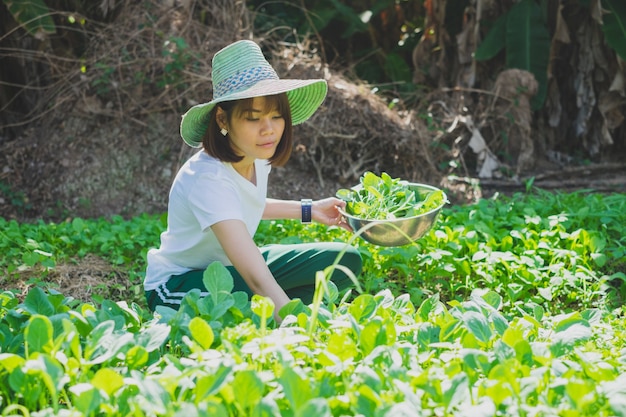 Mujer asiática feliz que sonríe y que lleva un sombrero de paja que cosecha verduras en el jardín