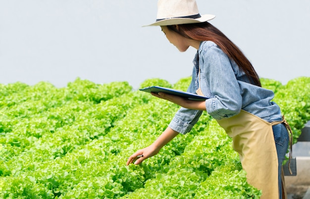 Mujer asiática granjero con portapapeles y ensalada de vegetales crudos para comprobar la calidad en el sistema de cultivo hidropónico en el invernadero.