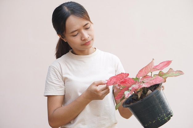 mujer asiática, el mirar, árboles plantados