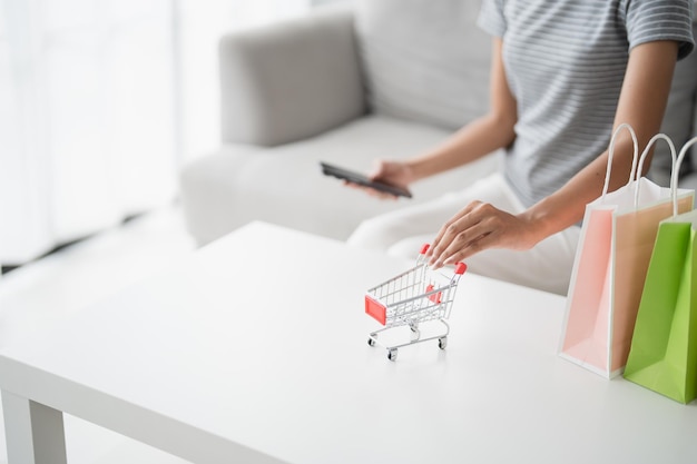 Mujer asiática y pequeño carrito de compras con portátil para Internet concepto de comercio electrónico de compras en línea en la sala de estar