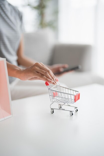 Mujer asiática y pequeño carrito de compras con portátil para Internet concepto de comercio electrónico de compras en línea en la sala de estar