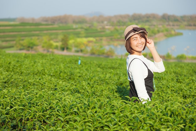 Mujer asiática en la plantación de té