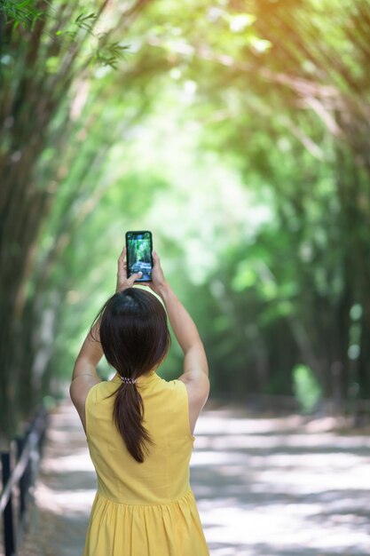 Mujer asiática en vestido amarillo y sombrero Viajando en el túnel de bambú verde Viajero feliz tomando fotos por teléfono móvil en el templo Chulabhorn wanaram en Nakhon Nayok Tailandia