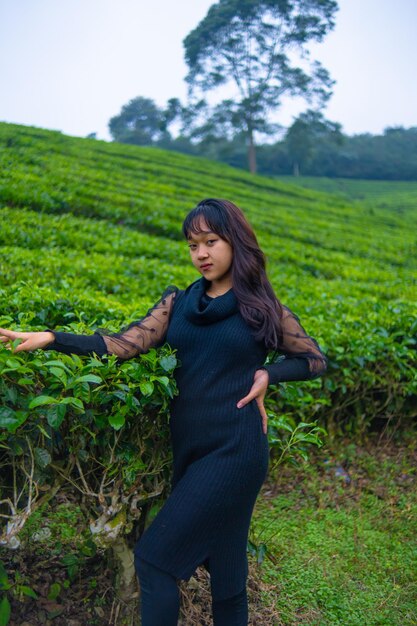 Foto una mujer asiática en un vestido negro está posando frente a una muy hermosa plantación de té por la mañana