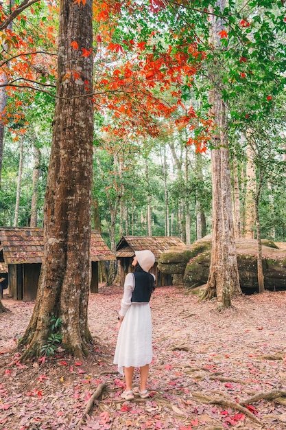 Foto mujer asiática visitando y disfrutando con el follaje de arce rojo y la cabaña de madera en la escuela de política y militar en el parque nacional phu hin rong kla