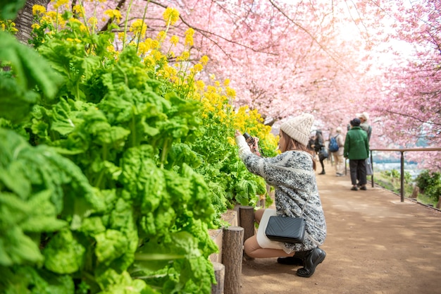 Mujer atractiva está disfrutando con Cherry Blossom en el parque