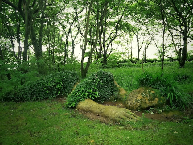 Mujer de barro en los jardines perdidos de Heligan