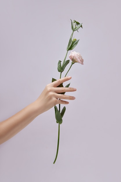 Mujer de belleza con flores rosas en la mano. Cosmético natural para el cuidado de la piel de las manos.