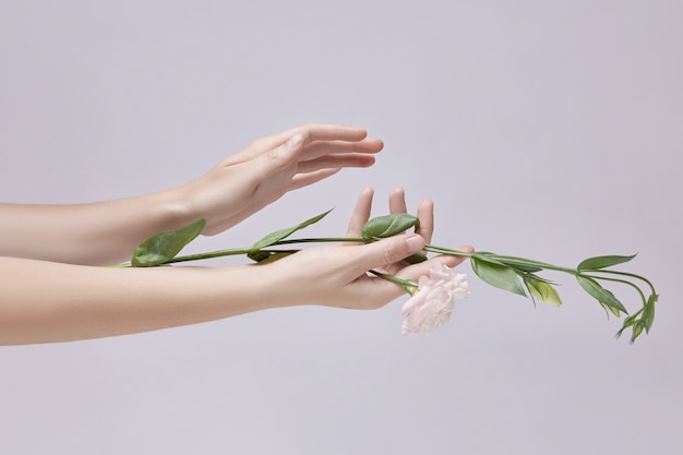 Mujer de belleza con flores rosas en la mano. Cosmético natural para el cuidado de la piel de las manos.