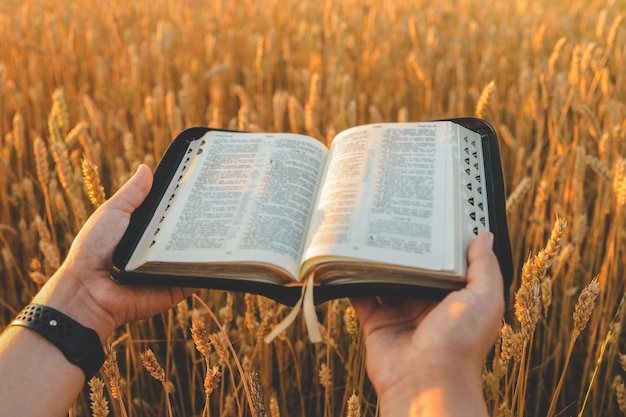 Mujer con una Biblia en un campo natural