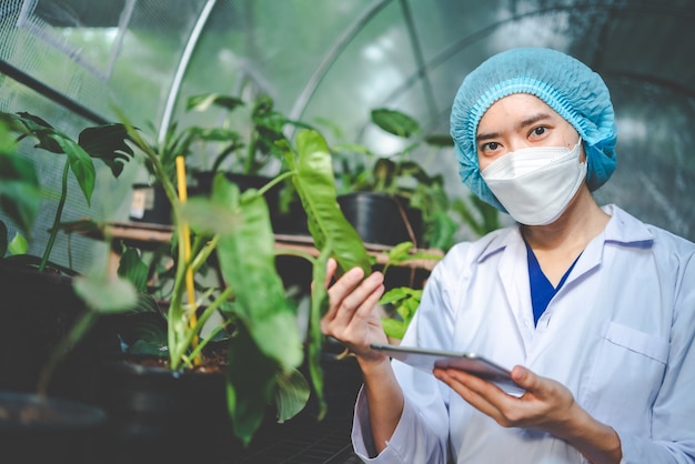 Mujer botánica que trabaja en invernadero para cultivar una planta agrícola, floristería en estilo de vida botánica con la naturaleza, horticultura en invernadero orgánico con crecimiento de flores