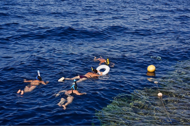 Mujer buceando en el mar azul océano y fondo de coral vista superior aérea