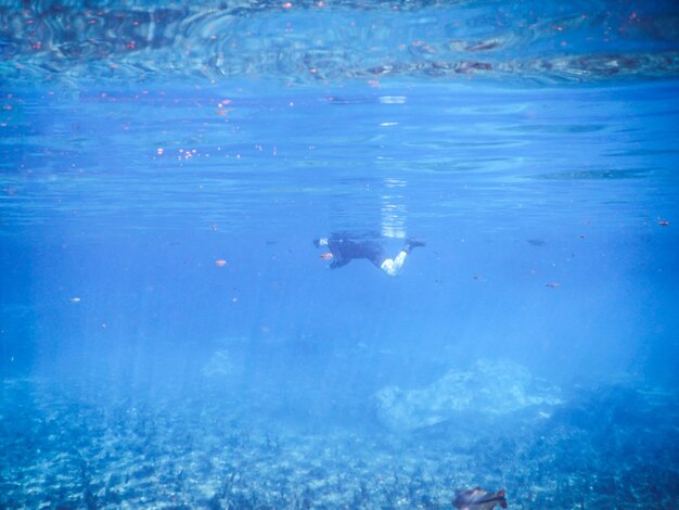 Mujer, buceo, en, río