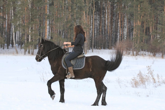 Mujer, en, caballo negro, en, bosque nevado, teleobjetivo, tiro