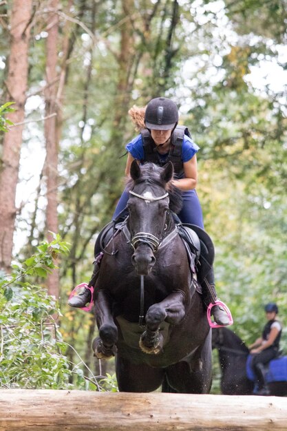 Foto mujer a caballo saltando sobre un obstáculo en el bosque