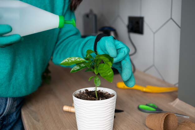 Mujer cambiando las macetas de sus plantas en casa durante la cuarentena