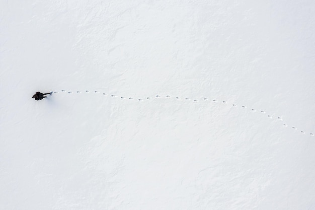 Una mujer camina a través de la nieve fresca dejando huellas vista aérea superior fondo de actividad al aire libre de invierno con espacio de copia