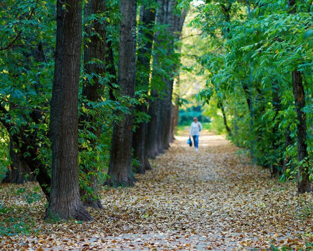 Mujer caminando en el fondo bokeh del parque otoño