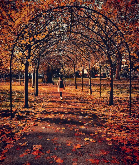 Foto mujer caminando por una pasarela cubierta en medio de árboles durante el otoño