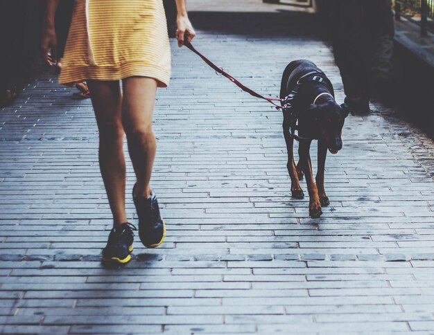 Foto mujer caminando con perro