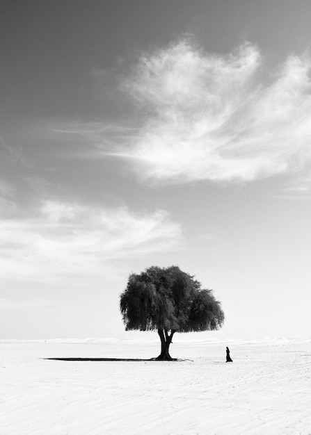 Mujer caminando en el postre contra el cielo