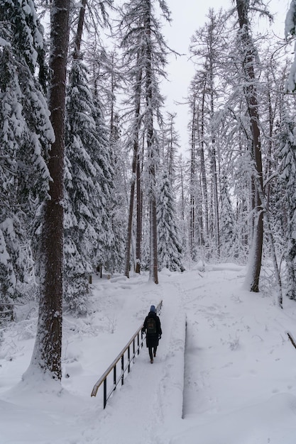 Mujer caminando por senderos forestales de invierno en un hermoso parque nacional nevado en un día frío y helado