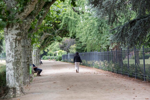 Mujer caminar sendero junto al río River Bank, Frankfurt, Alemania