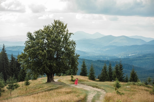 Mujer en el camino cerca del viejo árbol de haya grande en las montañas