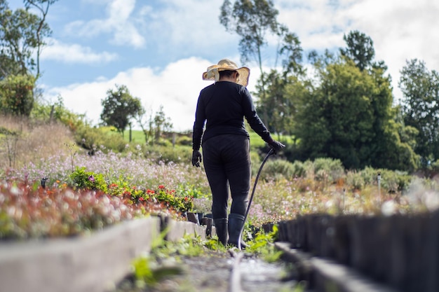 mujer campesina regando plantas al aire libre en el huerto