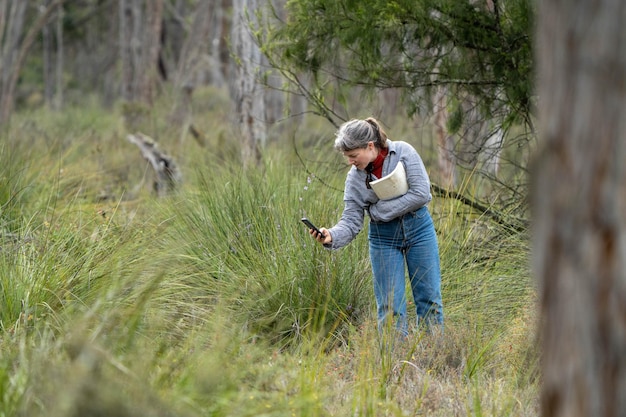 Una mujer en un campo con un árbol al fondo.