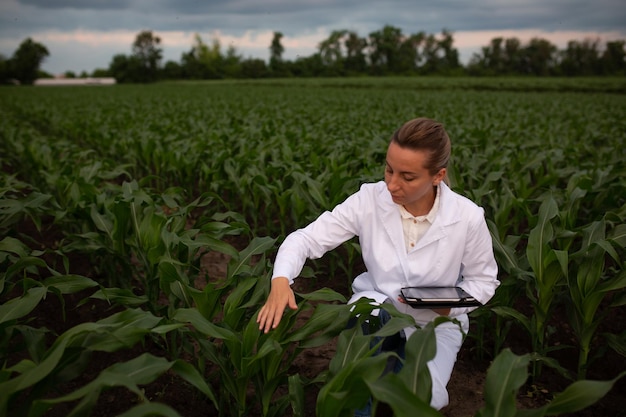 Una mujer en un campo de maíz con una tableta.
