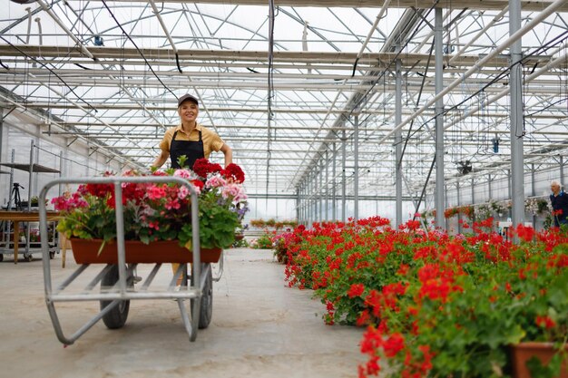 Mujer con una carretilla de flores en un invernadero.