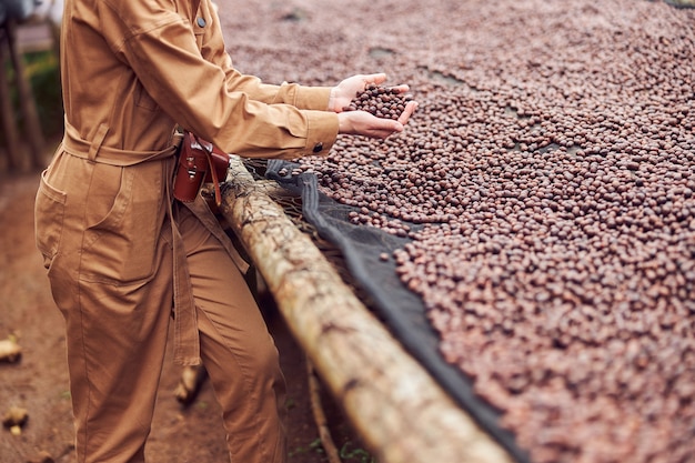 Mujer caucásica está probando granos de café de secado natural en el centro de producción de café en África