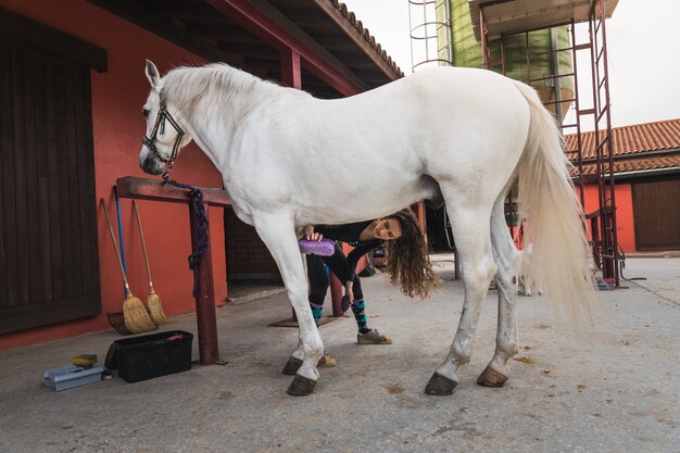 Mujer caucásica joven limpiando y preparando un caballo.