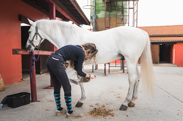 Mujer caucásica joven limpiando y preparando un caballo.