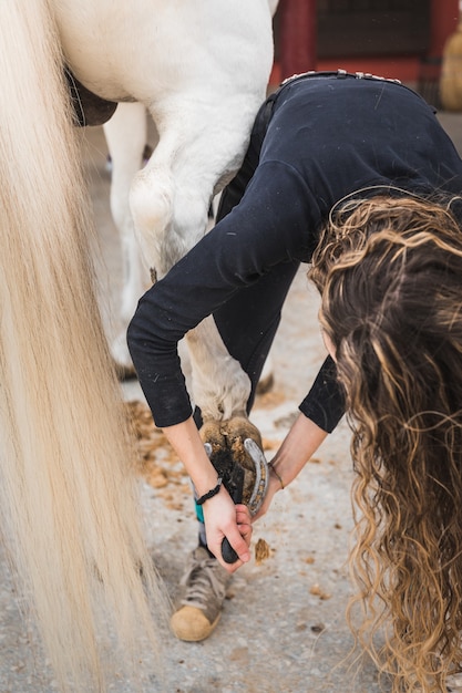 Mujer caucásica joven limpiando y preparando un caballo.