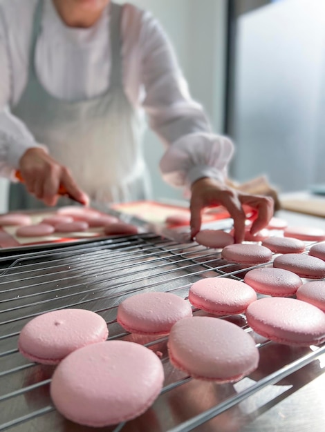 Mujer chef haciendo macarons foto de archivo