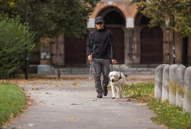 Foto mujer ciega tomando un agradable paseo en un parque de la ciudad con su perro guía entrenado animal de servicio y