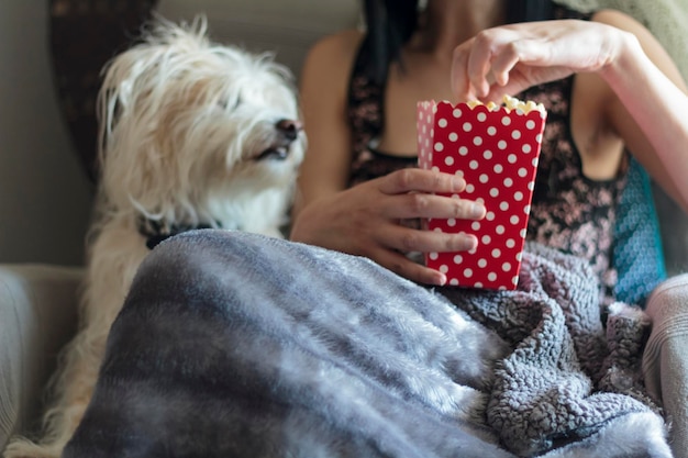 Foto mujer comiendo palomitas de maíz con su perro en el sofá envuelta en una manta suave y cálida