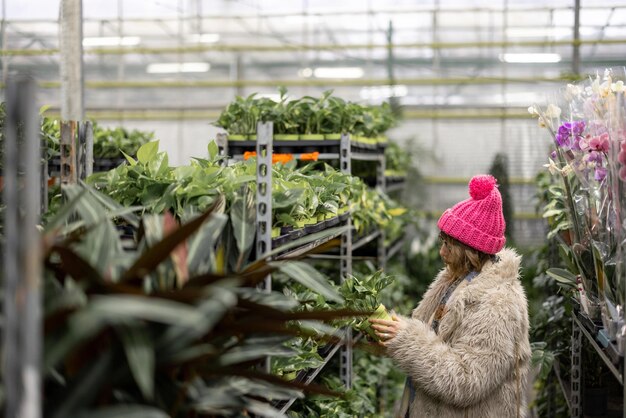 Mujer de compras en la tienda de plantas en invierno