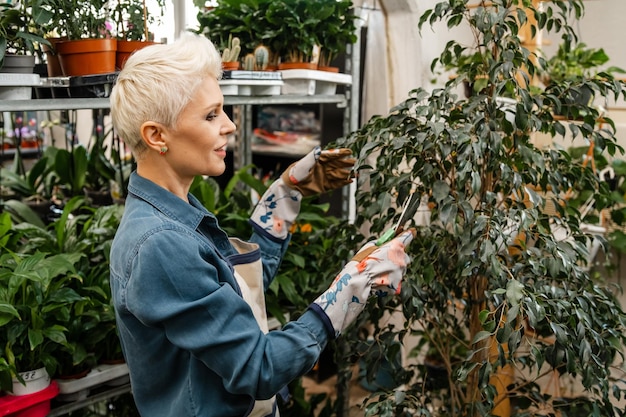 Una mujer corta con tijeras de podar modernas plantas de interior jardinería doméstica