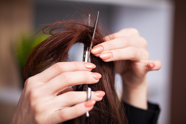 Mujer cortó las puntas de su cabello en un estudio de belleza.