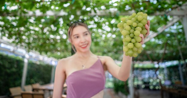 Mujer cosechando uvas al aire libre en viña