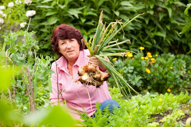 Mujer, cosechar, cebollas, en, jardín