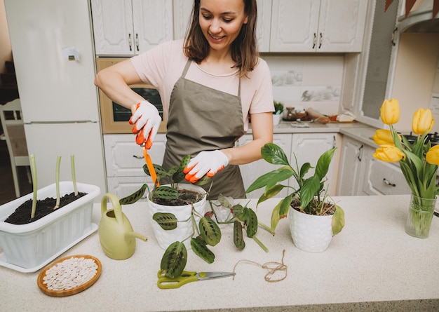 Una mujer cuida las plantas en la cocina Trasplante primaveral de riego de flores Jardinería doméstica