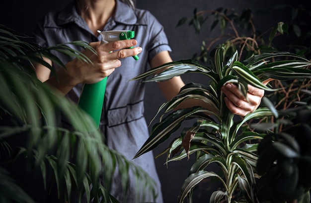 Foto mujer cuidando plantas caseras