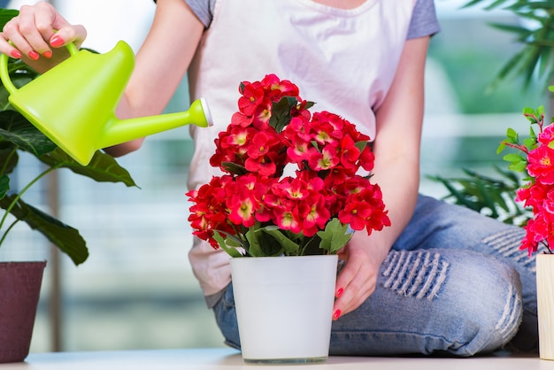 Mujer cuidando plantas caseras