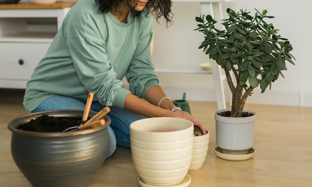 La mujer cultiva plantas en macetas en el hogar, riega y cuida las flores, la jardinería y el cuidado de las plantas domésticas.