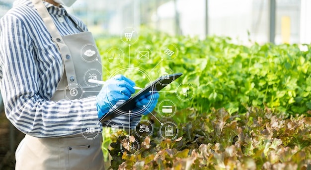 Mujer da lechuga de jardinería en la granja con proceso de crecimiento y fórmula química sobre fondo verde